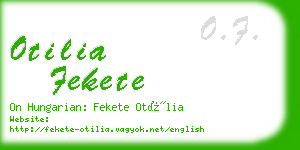 otilia fekete business card